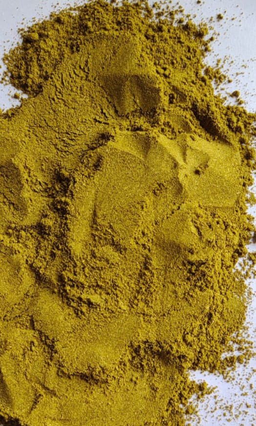 Coriander Powder